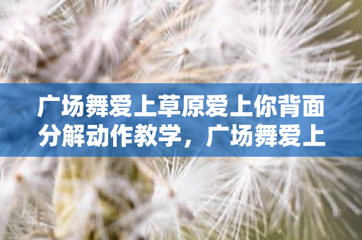 广场舞爱上草原爱上你背面分解动作教学，广场舞爱上你，分解动作详解