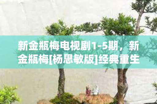 新金瓶梅电视剧1-5期，新金瓶梅[杨思敏版]经典重生的艺术魅力