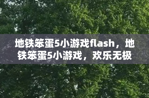 地铁笨蛋5小游戏flash，地铁笨蛋5小游戏，欢乐无极限的地铁冒险