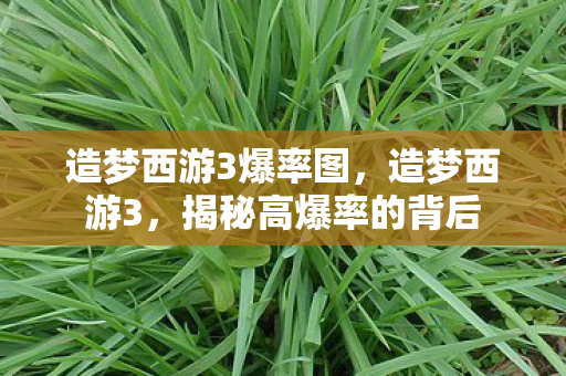 造梦西游3爆率图，造梦西游3，揭秘高爆率的背后