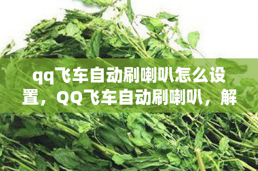 qq飞车自动刷喇叭怎么设置，QQ飞车自动刷喇叭，解锁高效游戏互动新方式