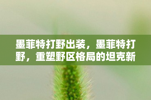 墨菲特打野出装，墨菲特打野，重塑野区格局的坦克新选择