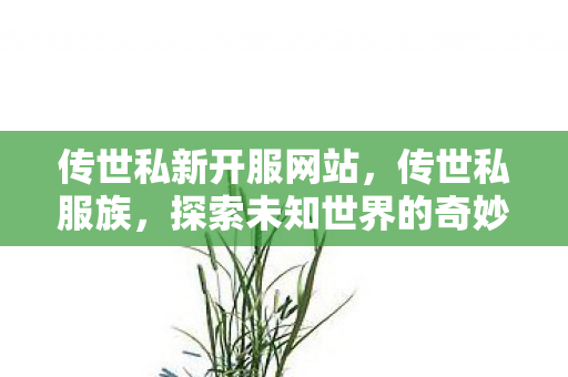 传世私新开服网站，传世私服族，探索未知世界的奇妙之旅