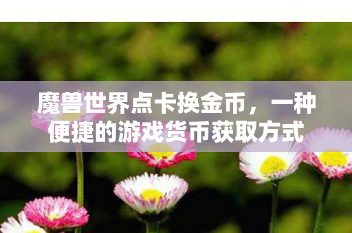魔兽世界点卡换金币，一种便捷的游戏货币获取方式