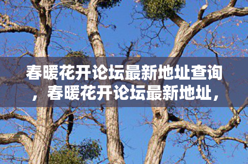 春暖花开论坛最新地址查询，春暖花开论坛最新地址，探索数字娱乐的新领地