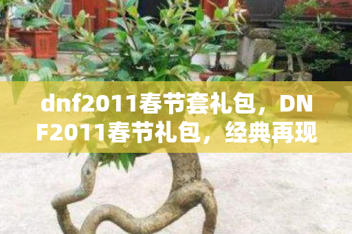 dnf2011春节套礼包，DNF2011春节礼包，经典再现，情怀与实力并存
