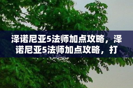 泽诺尼亚5法师加点攻略，泽诺尼亚5法师加点攻略，打造高效法师的加点指南