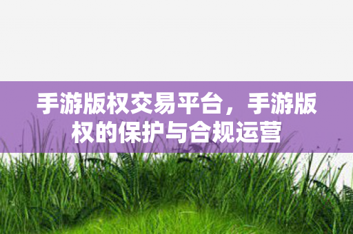 手游版权交易平台，手游版权的保护与合规运营