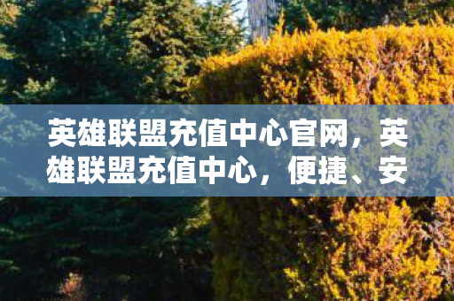英雄联盟充值中心官网，英雄联盟充值中心，便捷、安全、高效的充值体验