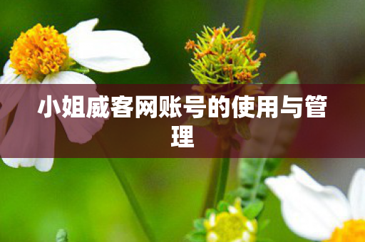 小姐威客网账号的使用与管理