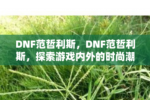 DNF范哲利斯，DNF范哲利斯，探索游戏内外的时尚潮流