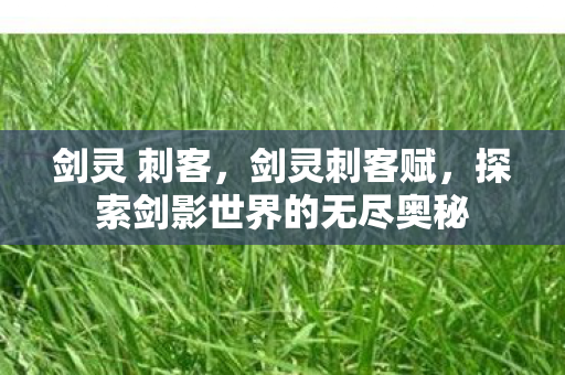 剑灵 刺客，剑灵刺客赋，探索剑影世界的无尽奥秘