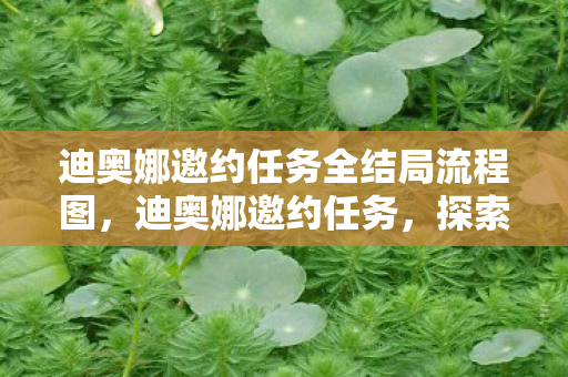 迪奥娜邀约任务全结局流程图，迪奥娜邀约任务，探索品牌背后的故事与魅力