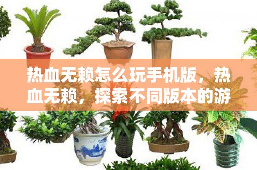 热血无赖怎么玩手机版，热血无赖，探索不同版本的游戏体验