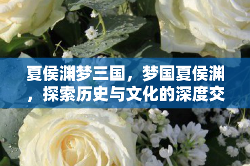 夏侯渊梦三国，梦国夏侯渊，探索历史与文化的深度交汇