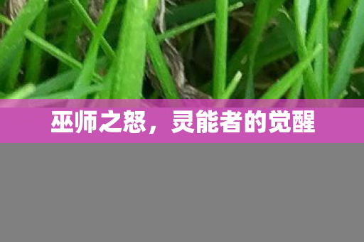 巫师之怒，灵能者的觉醒