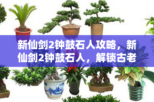 新仙剑2钟鼓石人攻略，新仙剑2钟鼓石人，解锁古老谜题，探寻神秘宝藏