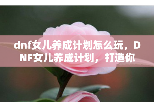 dnf女儿养成计划怎么玩，DNF女儿养成计划，打造你的专属冒险伙伴