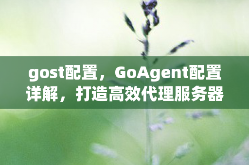 gost配置，GoAgent配置详解，打造高效代理服务器的秘诀