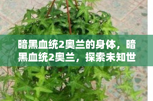 暗黑血统2奥兰的身体，暗黑血统2奥兰，探索未知世界的冒险之旅