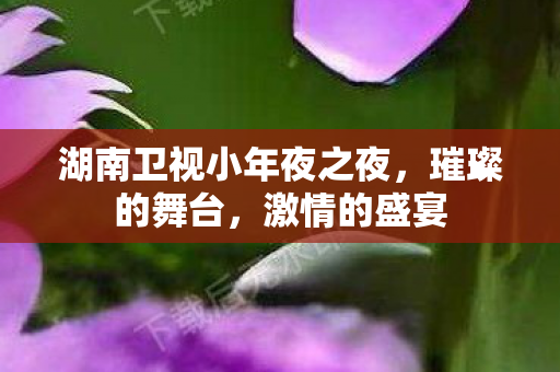 湖南卫视小年夜之夜，璀璨的舞台，激情的盛宴