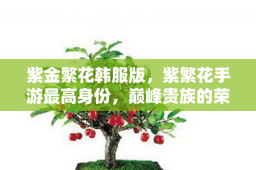 紫金繁花韩服版，紫繁花手游最高身份，巅峰贵族的荣耀与特权