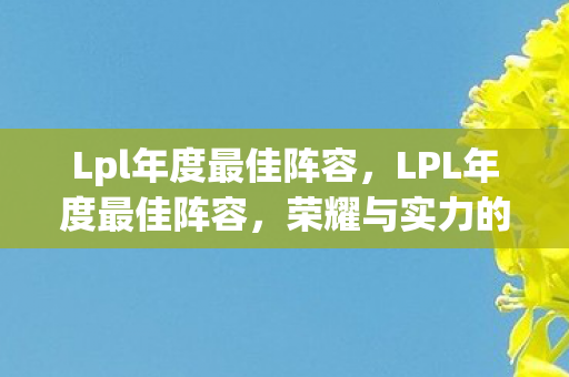 Lpl年度最佳阵容，LPL年度最佳阵容，荣耀与实力的巅峰对决