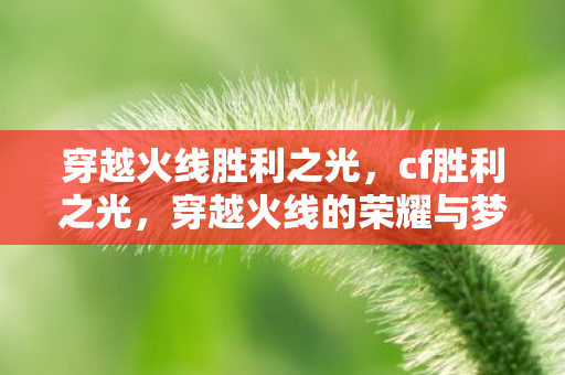 穿越火线胜利之光，cf胜利之光，穿越火线的荣耀与梦想