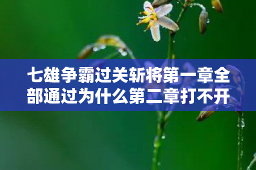 七雄争霸过关斩将第一章全部通过为什么第二章打不开，七雄争霸过关斩将，策略与智慧的较量