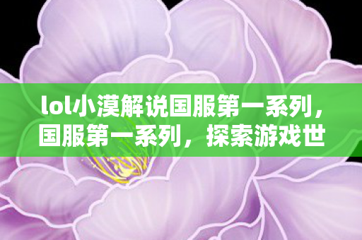 lol小漠解说国服第一系列，国服第一系列，探索游戏世界的巅峰之旅