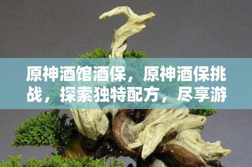 原神酒馆酒保，原神酒保挑战，探索独特配方，尽享游戏乐趣