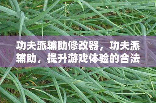 功夫派辅助修改器，功夫派辅助，提升游戏体验的合法途径