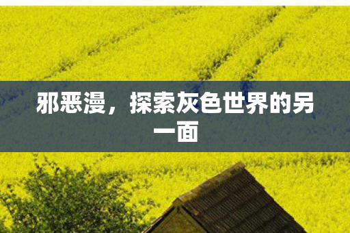 邪恶漫，探索灰色世界的另一面