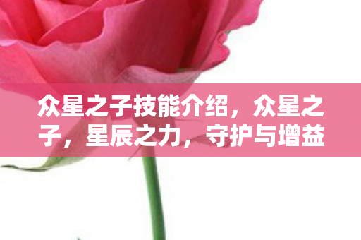 众星之子技能介绍，众星之子，星辰之力，守护与增益的传奇