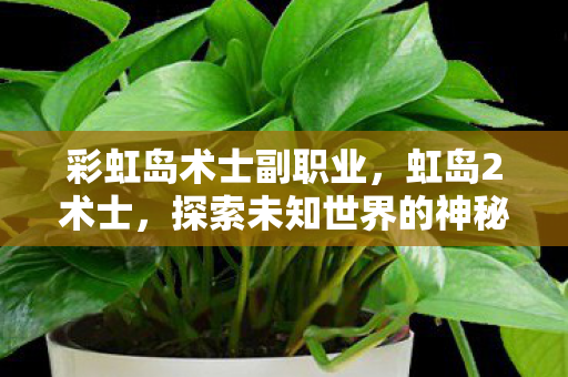 彩虹岛术士副职业，虹岛2术士，探索未知世界的神秘术士