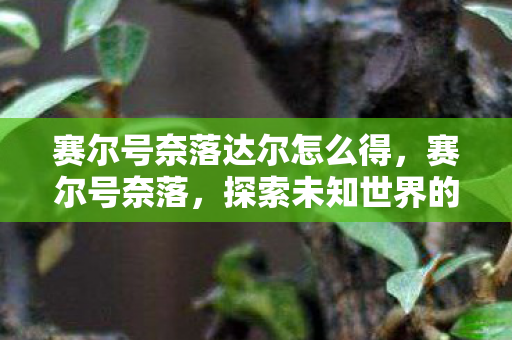 赛尔号奈落达尔怎么得，赛尔号奈落，探索未知世界的奇幻之旅