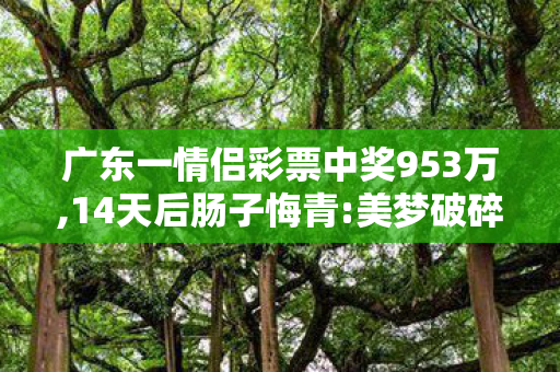 广东一情侣彩票中奖953万,14天后肠子悔青:美梦破碎，广东一情，疫情下的生活变迁与数字治理创新