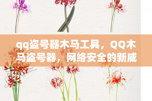 qq盗号器木马工具，QQ木马盗号器，网络安全的新威胁