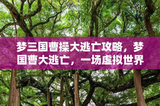 梦三国曹操大逃亡攻略，梦国曹大逃亡，一场虚拟世界的自由之旅