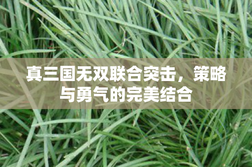 真三国无双联合突击,策略与勇气的完美结合 真三国无双联合突击,策略与勇气的完美结合