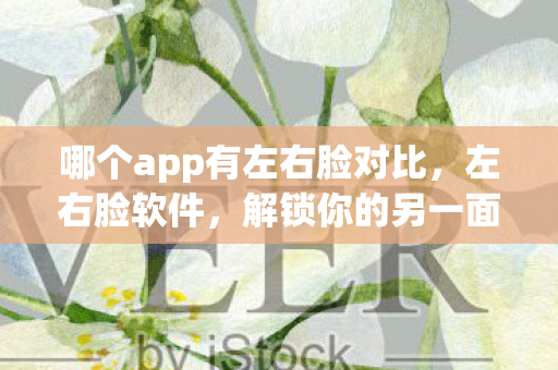 哪个app有左右脸对比，左右脸软件，解锁你的另一面
