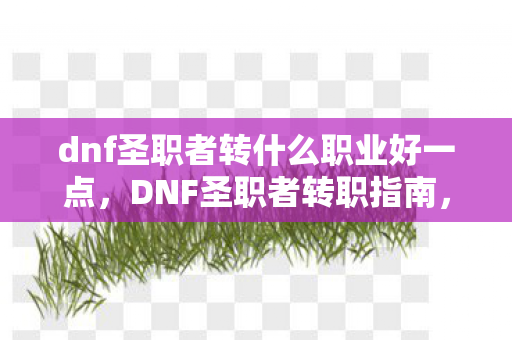 dnf圣职者转什么职业好一点，DNF圣职者转职指南，哪个职业最适合你？