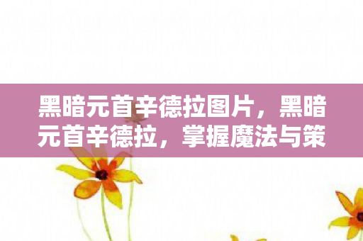 黑暗元首辛德拉图片，黑暗元首辛德拉，掌握魔法与策略的终极法师