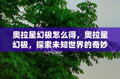 奥拉星幻极怎么得，奥拉星幻极，探索未知世界的奇妙之旅