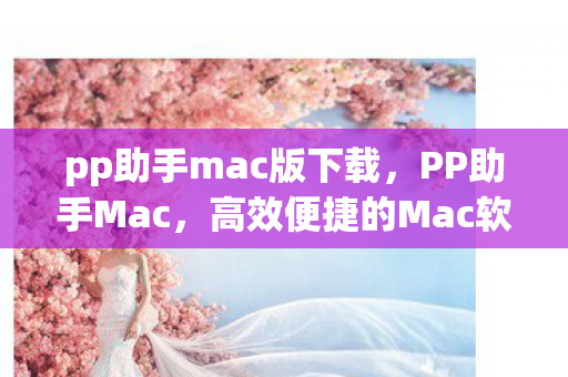 pp助手mac版下载，PP助手Mac，高效便捷的Mac软件管理工具