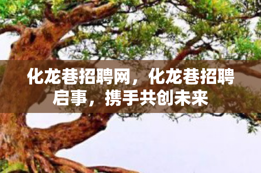 化龙巷招聘网，化龙巷招聘启事，携手共创未来