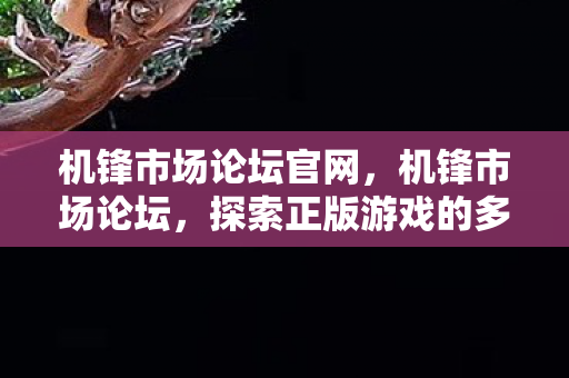 机锋市场论坛官网，机锋市场论坛，探索正版游戏的多元生态