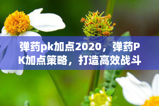 弹药pk加点2020，弹药PK加点策略，打造高效战斗力的关键