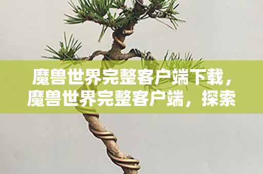 魔兽世界完整客户端下载，魔兽世界完整客户端，探索经典，重温传奇