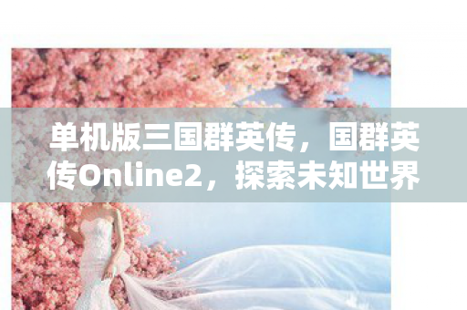 单机版三国群英传，国群英传Online2，探索未知世界的奇幻之旅